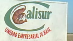 Despiden a activistas que han denunciado a las mismas autoridades Cubanas