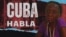 Banner 490