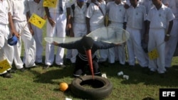 Niños de colegio toman parte de una campaña para erradicar el dengue y al mosquito chikungunya en Colombo, Sri Lanka.