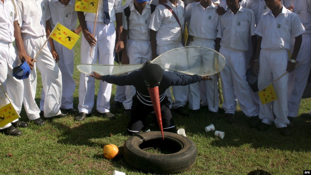 Niños de colegio toman parte de una campaña para erradicar el dengue y al mosquito chikungunya en Colombo, Sri Lanka.