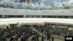Denuncian maniobras fraudulentas del gobierno cubano en el Consejo de Derechos Humanos de NU