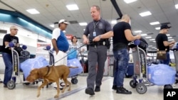 Un chequeo en el Aeropuerto Internacional de Miami. La TSA dijo que los funcionarios cubanos no tuvieron acceso a tecnología o sistemas sensibles y que solo recibieron una descripción general de las operaciones de seguridad.