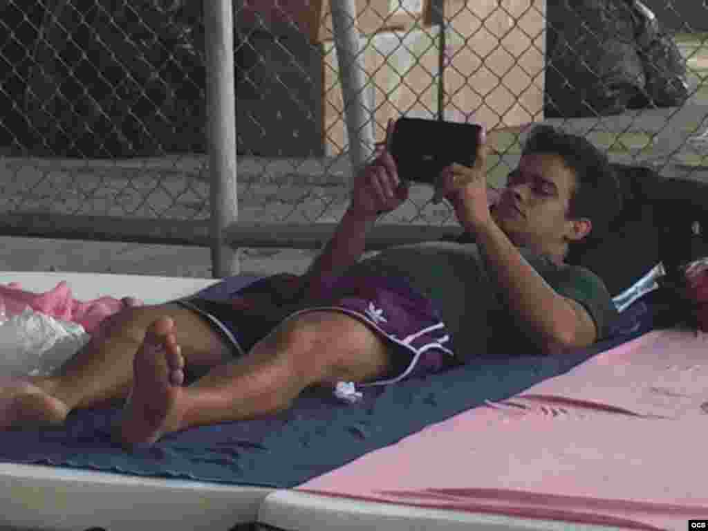 Cubano refugiado atento a las noticias desde su teléfono inteligente.