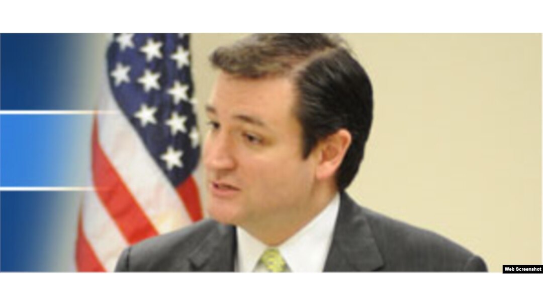 Ted Cruz, aspirante republicano al Senado de EEUU.