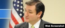 Ted Cruz, aspirante republicano al Senado de EEUU.