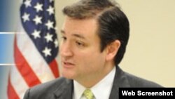 Ted Cruz, aspirante republicano al Senado de EEUU. 
