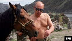 primer ministro ruso Vladimir Putin que alimenta a un caballo durante sus vacaciones de verano en la República de Tuvá