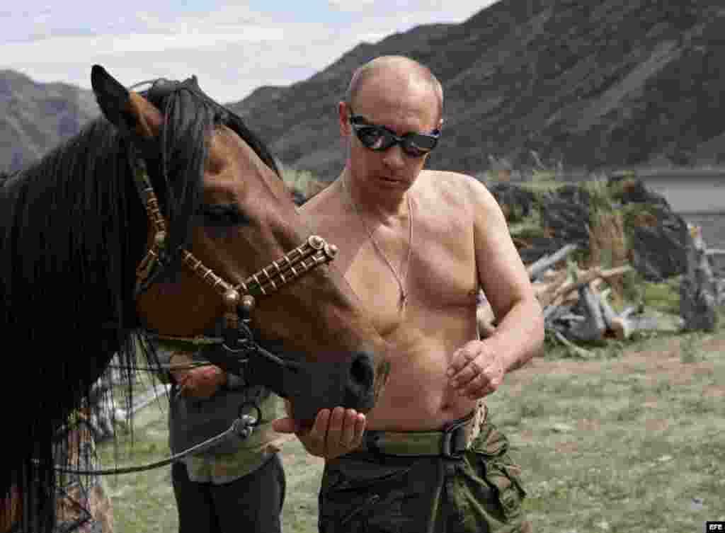 primer ministro ruso Vladimir Putin que alimenta a un caballo durante sus vacaciones de verano en la República de Tuvá
