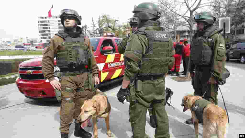 Policías recorren con perros adiestrados los alrededores de la estación