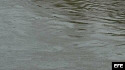 Foto de archivo. Agua contaminada. 