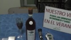 Club de vinicultores holguineros seduce con vino de piña