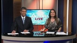Antena Live