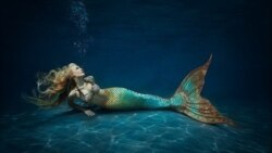 Sirenas y papalotes