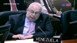 Gustavo Tarré representate ante OEA del gobierno interino de Venzuela realiza primer discurso