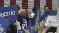 Sanders gana primaria demócrata en New Hampshire