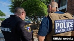Detenidos varios pandilleros / ICE website