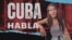 Banner 533