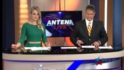 Antena Live
