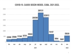 La gráfica muestra el número de casos de COVID-19 por meses en Cuba. (Facebook/MINSAP)