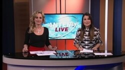 Antena Live
