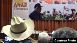 Unos 700 agricultores privados y cooperativistas se reúnen en el XI Congreso de la Asociación Nacional de Agricultores Pequeños, ANAP