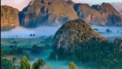 El rinconcito de Lucy