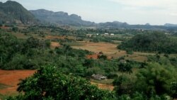 Viajes a Cuba como parte del contacto 'pueblo a pueblo'