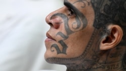 Ofrecen 5 millones por líder de la Mara Salvatrucha