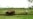 Triste panorama del campo cubano con pocos guajiros para cultivar la tierra