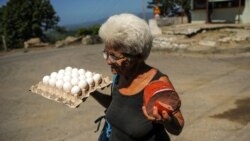 Fidel Castro y el mito de la producción de huevos