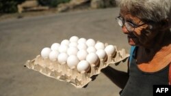 Huevos, desabastecimiento y mercado negro en Cuba