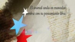 “El animal anda en manadas;…”