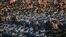 La Universidad de Siracusa en NY atrae cada año a muchos estudiantes internacionales, incluso de la India. (Nicolaus Czarnecki / ZUMAPRESS.com/Alamy Live News).