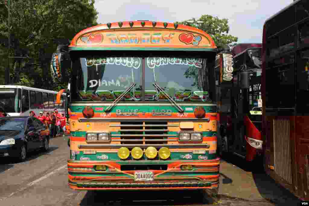 Bus criollo