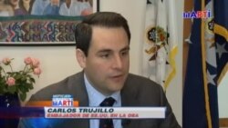 Embajador de EEUU ante OEA reitera apoyo a oposición cubana ante fraude constitucional