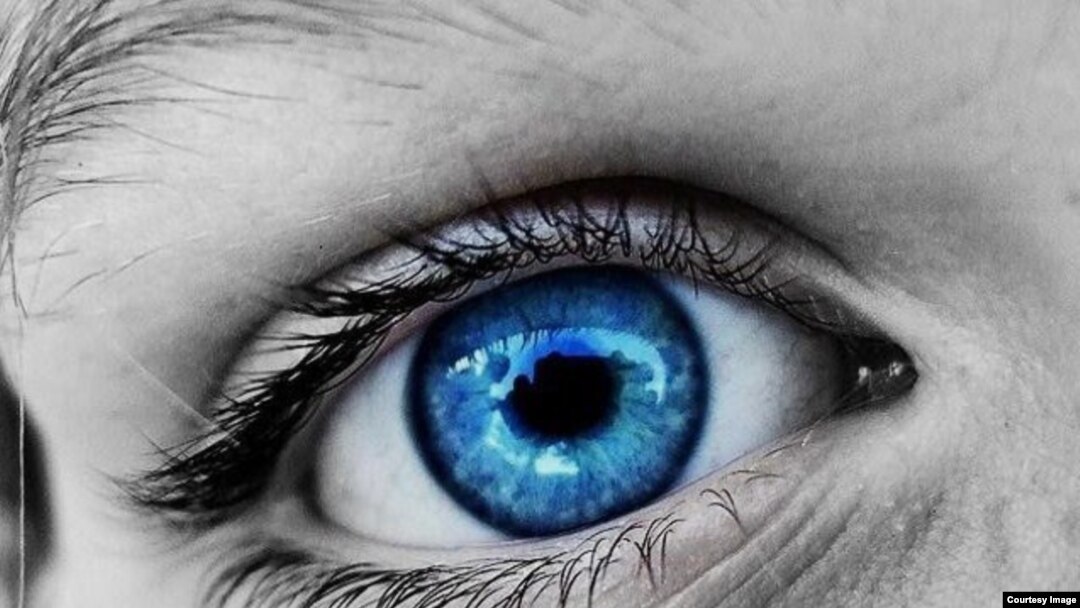 "Es un capricho de mi novia. Quiere un ramito de ojos azules". Octavio Paz