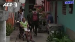 Testimonios desde Cuba sobre la campaña de detección del dengue