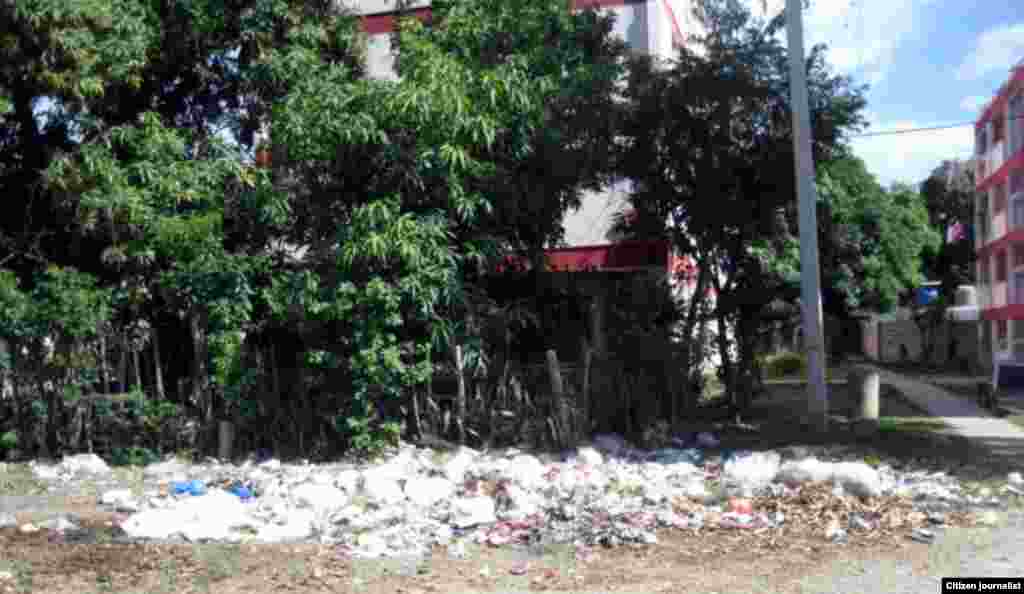 La calle Santa Rita entre 17 y 18 Norte en el Reparto Caribe en Guantánamo, es un área donde proliferan los vectores y la contaminación.