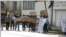 Protestas en Cuba.