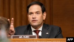 Marco Rubio durante una audiencia en el Senado. (Andrew Harnik / POOL / AFP)