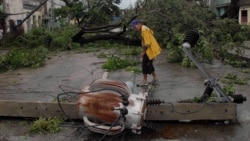 Disidentes y activistas se movilizan para ayudar a afectados por el huracán 