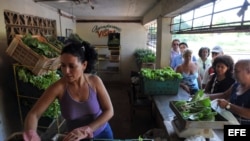 La agricultura de Cuba hoy