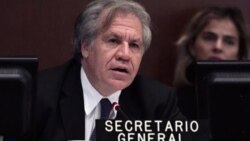 El secretario general de la OEA, Luis Almagro, recibió un informe denunciando casos de tortura dentro de Venezuela. De los 106 casos documentados en el estudio, 11 supuestamente fueron perpetrados por gente con un acento cubano