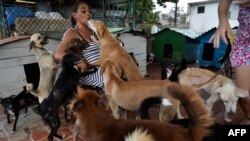 Noris Pérez juega con perros en un refugio privado para animales en La Habana. (YAMIL LAGE / AFP).