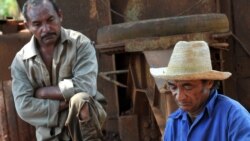 Nuevas leyes tributarias aumentan malestar en campesinos de Majibacoa