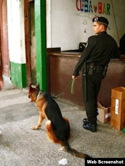 Policía cubano patrulla calles de La Habana con un perro