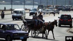 El Estado cubano autorizó en agosto de 2012 la creación de la primera sección sindical de cocheros, conductores de carros tirados por caballos, formada por más de treinta trabajadores no estatales o autónomos del sector en la provincia de Villa Clara
