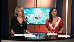 Antena Live