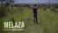 Melaza