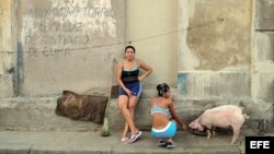 Dos mujeres dan de beber a un cerdo en Santiago de Cuba.